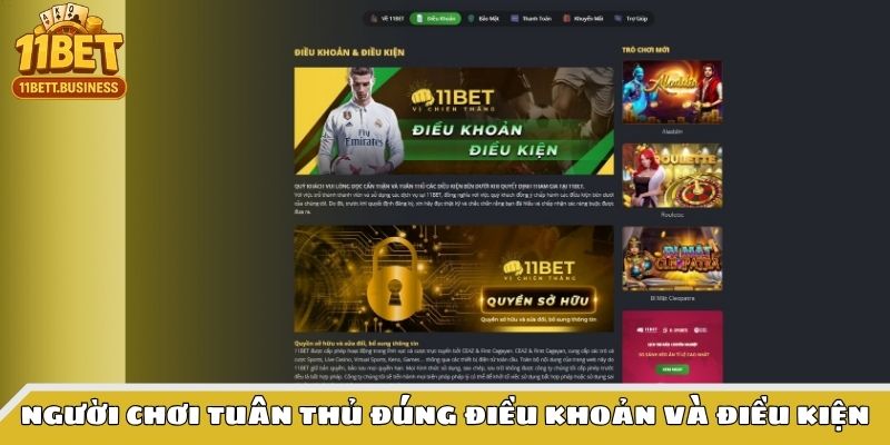 Tuân thủ những thiết lập điều khoản điều kiện